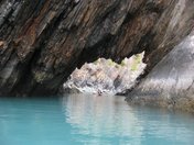 Kenai Fjords National Park