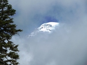 Mt. Rainier National Park