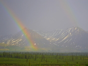 Denali National Park