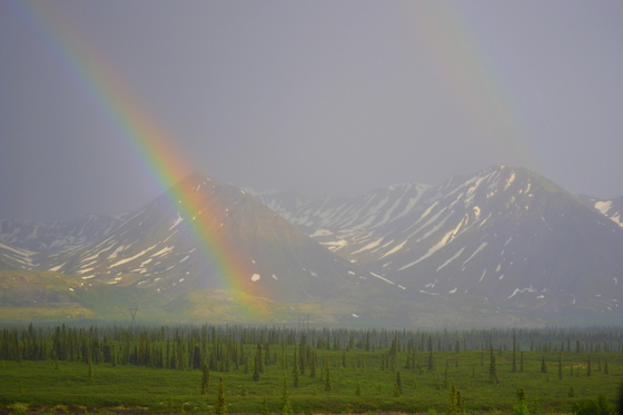 Denali National Park