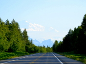 Denali National Park