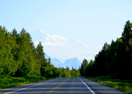 Denali National Park