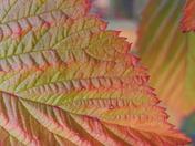 Rocky Mountain National Park