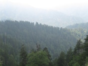 Great Smoky Mountain National Park