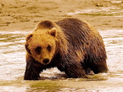 Kenai Fjords National Park