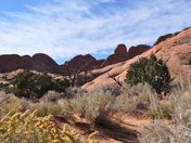 Arches National Park
