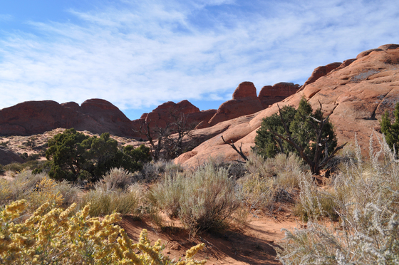 Arches National Park