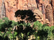 Zion National Park, Utah