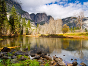 Yosemite National Park