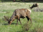 East Shore Trail on Shadow Mountain Reservoir