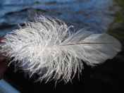 Shadow Mountain Reservoir near Grand Lake
