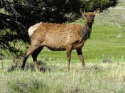 East Shore Trail - Shadow Mountain Reservoir