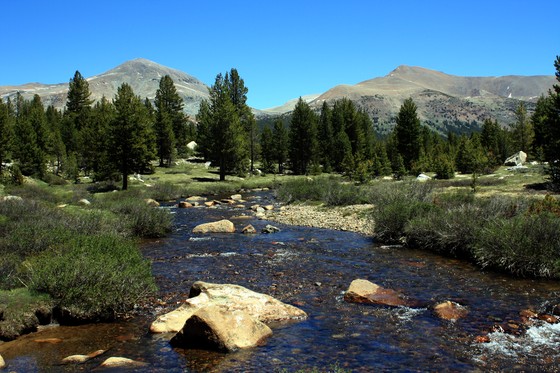 yosemite national park