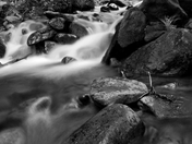 San Isabel National Forest