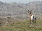 Badlands National Park