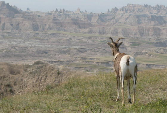 Badlands National Park