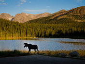 Arapaho & Roosevelt National Forests  Pawnee National Grassland