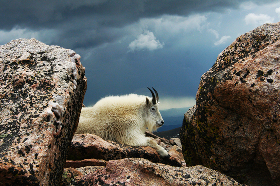 Mount Evans 