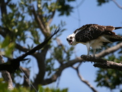 Everglades National Park