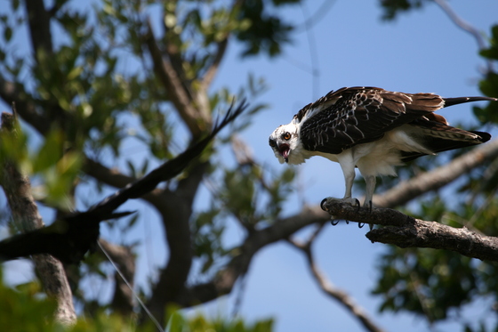 Everglades National Park