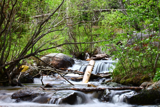Rocky Mountain National Park