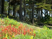 Golden Gate National Recreation Area