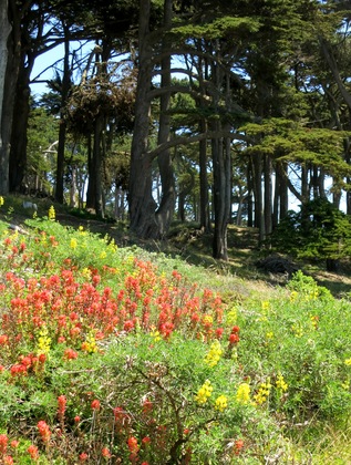 Golden Gate National Recreation Area