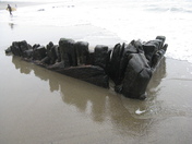 Golden Gate National Park