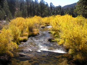 Sequoia National Forest