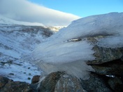 White Mtn National Forest