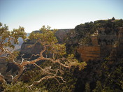 The Grand Canyon