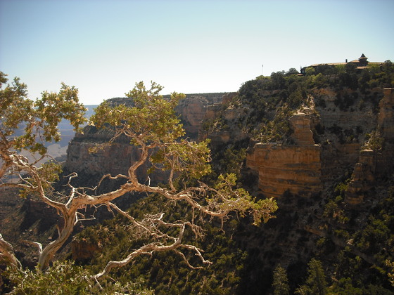 The Grand Canyon