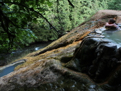 Umpqua National Forest