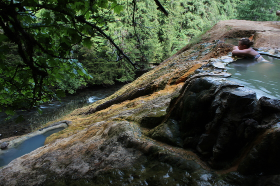 Umpqua National Forest