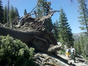 Devils Postpile National Monument