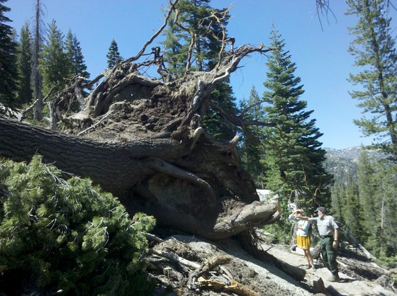 Devils Postpile National Monument