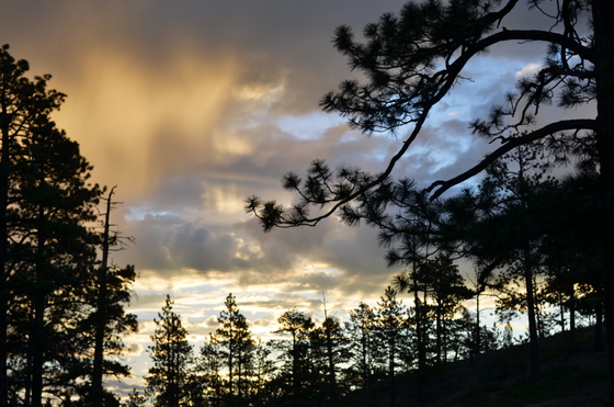 Bryce Canyon National Park