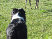 Olympic National Park