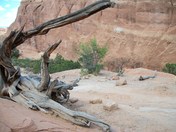 Canyonlands National Park