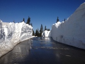 Olympic National Park