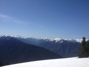 Olympic National Park