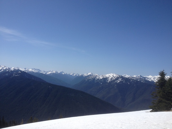 Olympic National Park