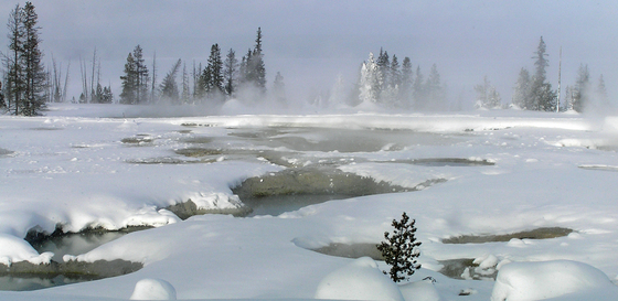 Yellowstone