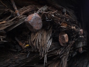 Steamtown National Historic Site