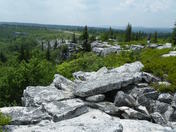 Monongahela National Forest