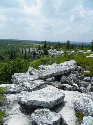 Monongahela National Forest