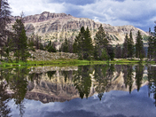 Wasatch-Cache National Forest