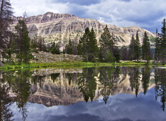 Wasatch-Cache National Forest