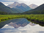 Wasatch-Cache National Forest