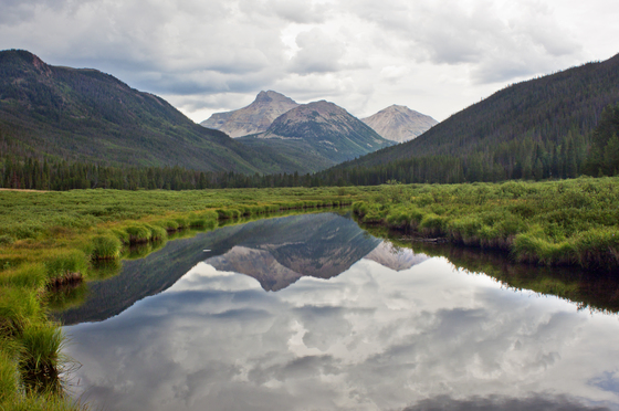 Wasatch-Cache National Forest